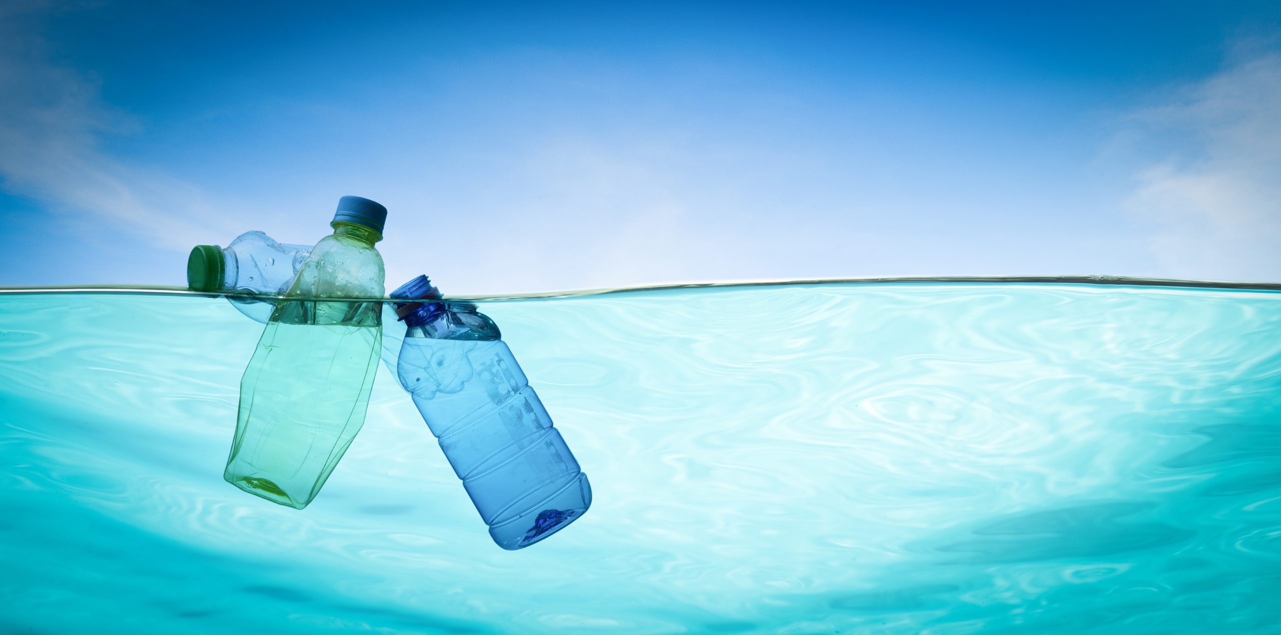 Project Plastic: Donating Fees to Save our Seas Featured Image